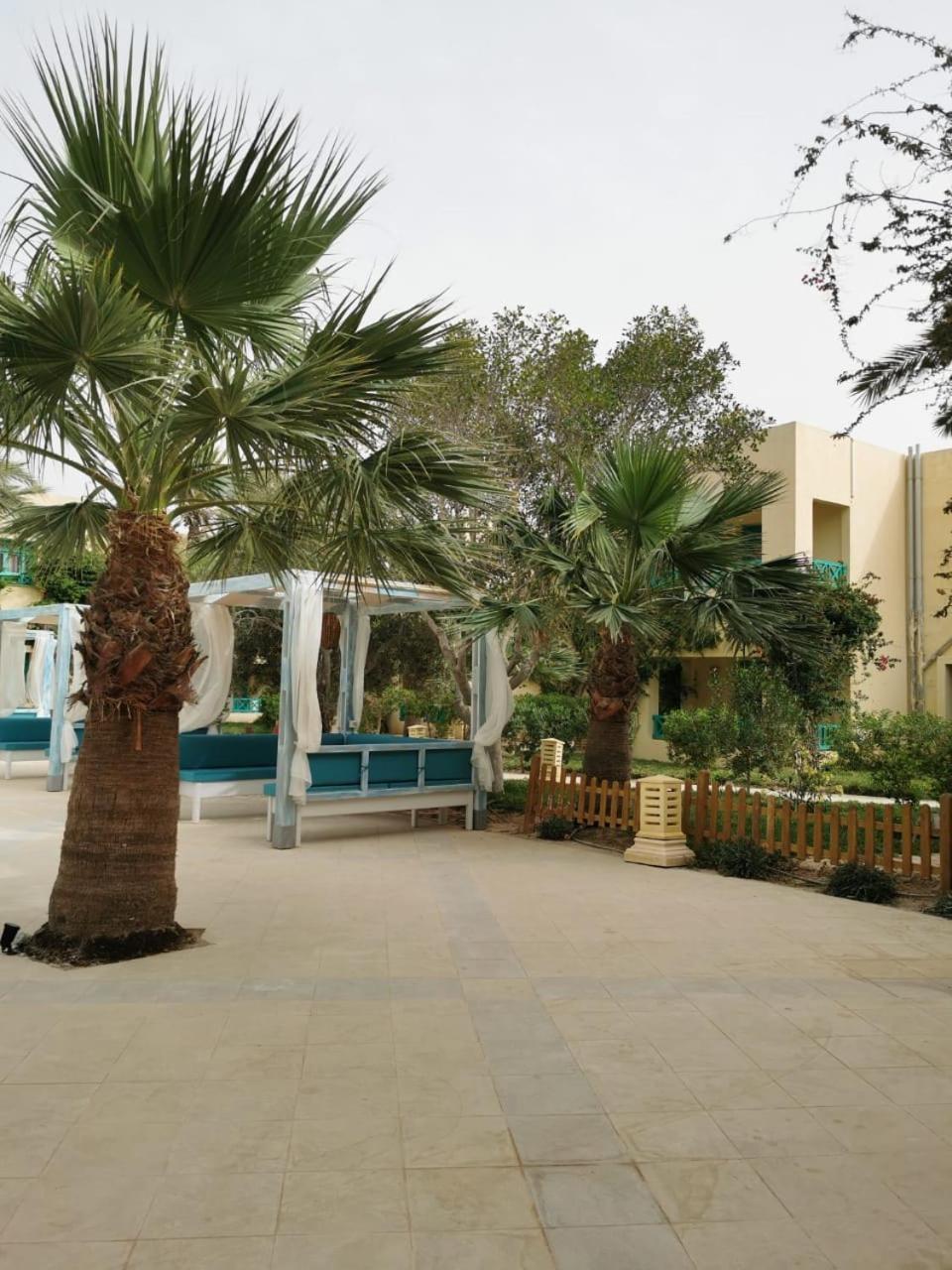 Hotel Diar Yassine ミドゥン エクステリア 写真